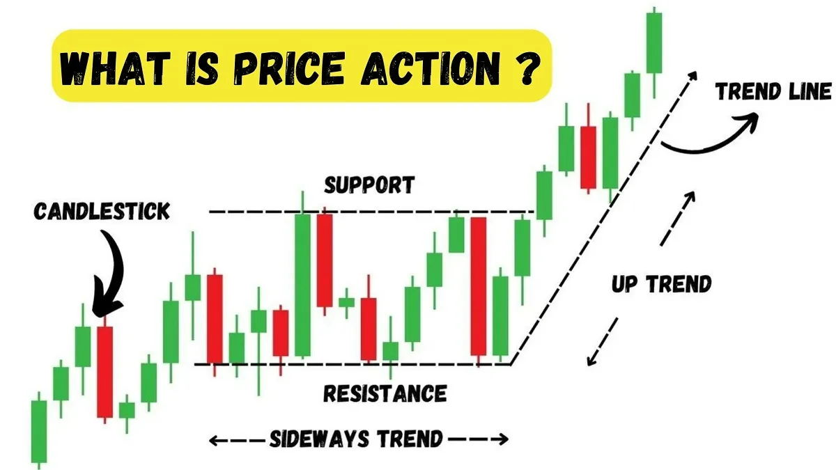 What is Price Action in share market